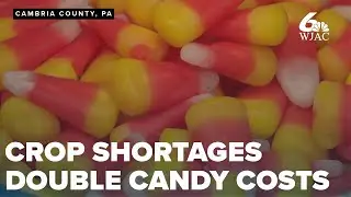Drought-driven crop shortages double candy costs, spooking local market