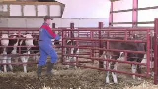 Pr&eacute;sentation batiment agricole Ets Pr&eacute;tot Fr&egrave;res
