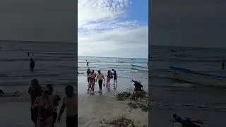 UN BELLO RINC&Oacute;N DEL MUNDO ECUADOR- MANAB&Iacute; 🇪🇨🇪🇨 Playas COJIMIES Costa Norte..02/01/2026