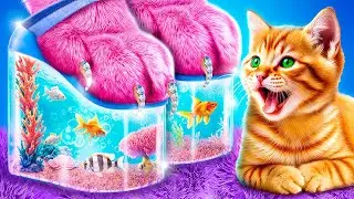 Nous Construisons un lit Superpos&eacute; pour Chats!