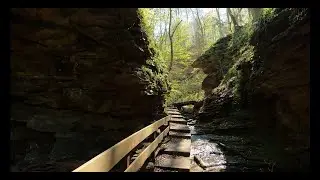 Klingenberg nach Kleinheubach über die Seltenbachschlucht