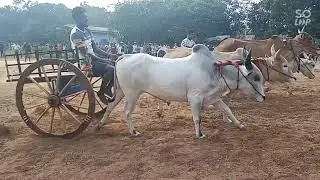 maddu vandi savari