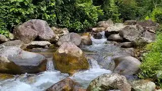Deep Work River &bull; 1 Hour &bull; Flowing Water Ambience for Productivity, Focus, and Mental Clarity 4K