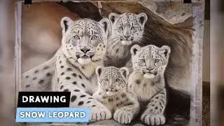 Drawing Snow Leopard ❄🐆 | Farhan Macholvi Arts.