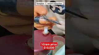 Scorpion 🦂 venom 1 gram price $10,000 #scorpion #poison #venom2