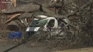 Tree brought down by wind in Connecticut crushes USPS van