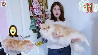 ADVENTSKALENDER 2025 - TAG 11 ⛄ Hannah &ouml;ffnet die n&auml;chsten T&uuml;rchen + es ist fast Halbzeit!