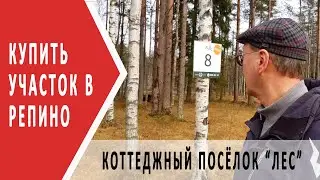 Купить участок в Репино