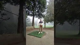 Randy ​Daily life in Vancouver​温哥华日常生活20260119 145642