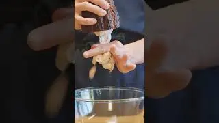Trying AGAIN to ferment Cocoa beans #Shorts