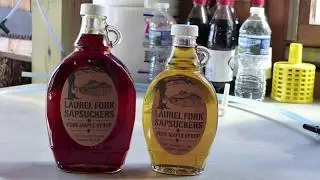 Join West Virginia's Growing Maple Syrup Industry!