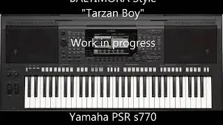s770 Baltimora Style