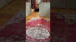 Vintage Rug Runner &ndash; One of a Kind Rugs
