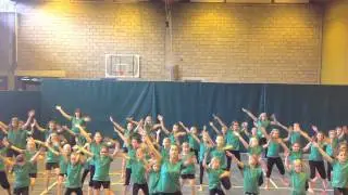 Dansstage 2013 Groepsdans