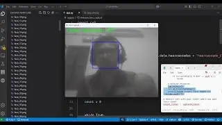 Python 3 OpenCV Script to Detect Face in Live Webcam Video Feed & Save it as PNG Image Frames App