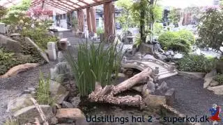 Havedams udstilling hal nr 2 i Superkoi