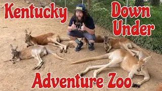 Kentucky Down Under Adventure Zoo | Mammoth Onyx Cave Tour - Full Tour