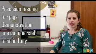 Precision feeding system: demonstration in a commercial pig farm