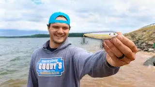 TOP WATER LURE Gets DESTROYED In Fish FEEDING FRENZY!! (Epic Blow Ups)