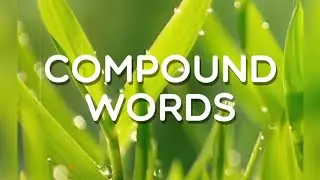 Compound words, Level 224, Word Crush Answers, 4k.