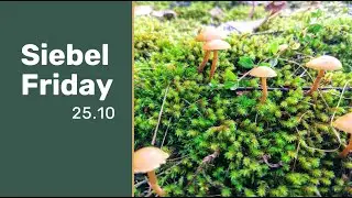 Siebel Friday 25.10 (Virtual)