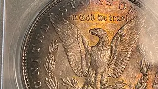 1887 Morgan Dollar - Philadelphia Mint - Morgan Dollar Minute ⏱ Questionable Color or Just Me? 🤷&zwj;♂️
