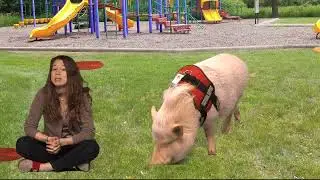 George  the PotBelly Pig and his guardian, Breeka for AMPA