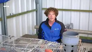 Selectief vissen op tong - maar hoe dan?
