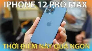 iPhone 12 Pro Max: gi&aacute; 9 triệu năm 2026 C&ograve;n &ldquo;ngon&rdquo; hay chỉ l&agrave; h&agrave;o quang qu&aacute; khứ !!