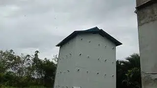 Luar biasa sp.andalan by.ryan nur di siang hari msh aj ramai & respon
