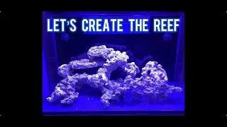 Saltwater Aquascaping! #coralreef #fishtank #reeftank #aquarium #redsea #shorts #saltwatertank