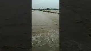 Siddhpur  saraswati river over flow.