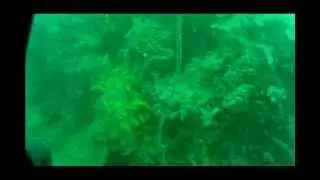 Mini ROV 4 - www.robomarine.com