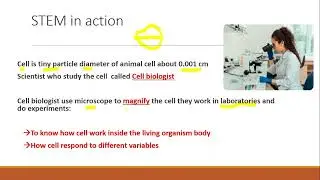 Grade 6  concept1 lesson 5 and 6 (planning a cell city & cell biologist )