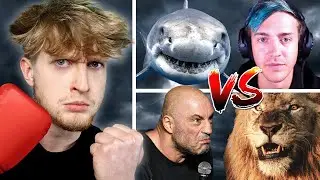 Who Would Win in a Fight? | Animal Kingdom Bracket