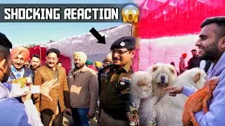 Exotic Iguana in Patiala Dog Show😱