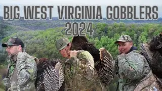 Turkey Hunting West Virginia! 2024