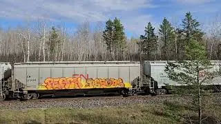 Unofficial Heritage unit. DM&IR SD40T-3 403 on WB CN grain empties G891 at Baynham. 10/24/25.