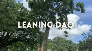 Leaning Dao (UPLB Centennial Heritage Trees)