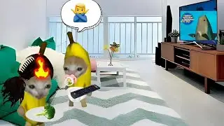 Banana cat crying baby banana cat broccoli  #happycat #catmemes #bananacat #xosen7
