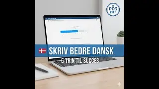Master Danish Writing in 5 Easy Steps  PD3 & Exam Prep Guide
