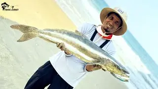 Tamil Nadu's First Cobia Fish Catch From Shore #fishing #fishingvideo #camping #fish newvideo #beach