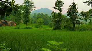 #vlog #nachural views from my cainal explore the view of new vlog s#vlog jayesh vaghe🔥🔥🔥🔥