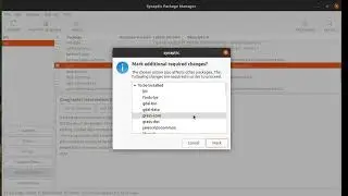 Install a package using synaptic package manager