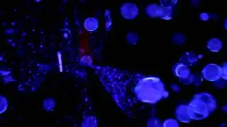 Free Falling  - Wednesday Atoms