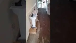 1st Floor Flooding