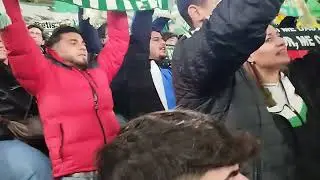Supporters en la Grada de animación 