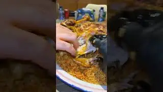 🔥 Arabic Lamb Mandi 🍖 | Juicy Whole Lamb on Spiced Rice 😋 #Shorts