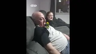 Parrot feeds chips to man 14 Billion views on this video Viral clip