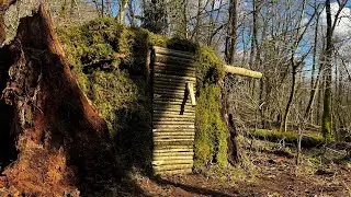 Deep in the Forest: How to Build a Sturdy Wooden Shelter with Bare Hands?!